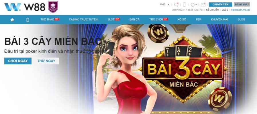 Bài 3 Cây miền Bắc là gì?