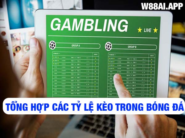 Tổng hợp các tỷ lệ kèo bóng đá được sử dụng nhiều nhất Tổng hợp các tỷ lệ kèo bóng đá được sử dụng nhiều nhất